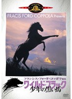 ワイルド・ブラック/少年の黒い馬 のパッケージ