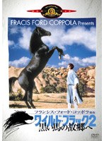 ワイルド・ブラック 2/黒い馬の故郷へ のパッケージ