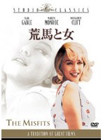 荒馬と女 のパッケージ