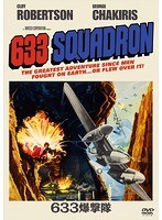 633爆撃隊 のパッケージ