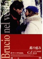 風の痛み のパッケージ
