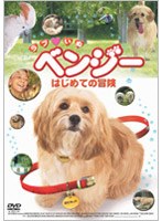 ラブ・いぬベンジー はじめての冒険 のパッケージ
