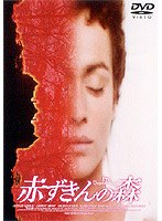 赤ずきんの森 のパッケージ