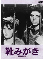 靴みがき のパッケージ
