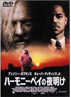 ハーモニーベイの夜明け