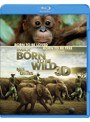 IMAX:Born To Be Wild 3D-野生に生きる-(3DBD) (ブルーレイディスク)