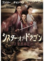 シスター・オブ・ドラゴン/天女武闘伝 のパッケージ