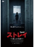 ストレイ 悲しみの化身 のパッケージ