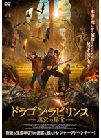 ドラゴン・ラビリンス 王宮の秘宝・ラビリンス 迷宮の秘宝 のパッケージ