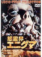 怒霊界エニグマ