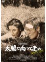 太陽に向って走れ | teriffic.net