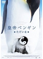 皇帝ペンギン ただいま スペシャル・プライス