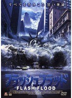 フラッシュフラッド のパッケージ