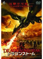 ドラゴンストーム のパッケージ