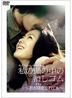 私の頭の中の消しゴム 〜君が僕を忘れても〜 ナビゲートDVD
