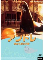 アンドレ のパッケージ
