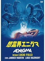 怒霊界エニグマ