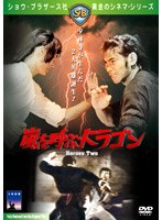 嵐を呼ぶドラゴン のパッケージ