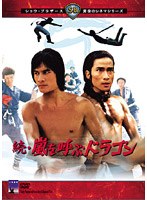 黄金のシネマ・シリーズ第弐期 続・嵐を呼ぶドラゴン のパッケージ