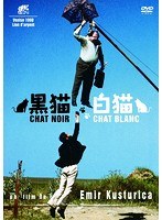 黒猫・白猫