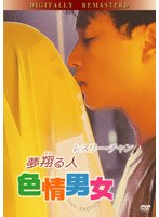 夢翔（かけ）る人 色情男女 のパッケージ