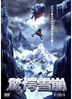 驚愕雪崩 のパッケージ