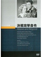 決戦攻撃命令 のパッケージ
