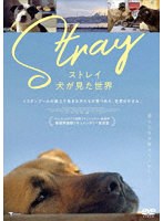 ストレイ 犬が見た世界