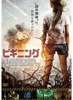ビギニング のパッケージ