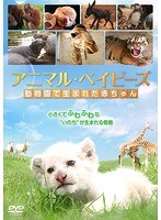 アニマル・ベイビーズ 動物園で生まれた赤ちゃん