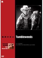 ハリウッド西部劇映画傑作シリーズ曠原の志士