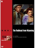 ハリウッド西部劇映画傑作シリーズ牧場荒し のパッケージ