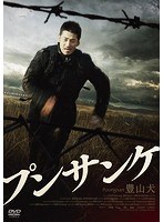 プンサンケ のパッケージ