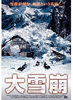 大雪崩 のパッケージ