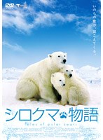シロクマ物語