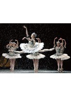 パリ・オペラ座のすべて のパッケージ