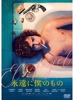 永遠に僕のもの のパッケージ