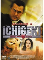 ICHIGEKI 一撃 のパッケージ