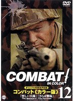 COMBAT！ BATTLE.12 のパッケージ