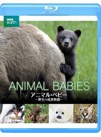 BBC earth アニマル・ベビー 〜野生の成長物語〜（ブルーレイディスク）