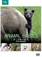 BBC EARTH アニマル・ベビー 〜野生の成長物語〜