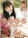 回転木馬
