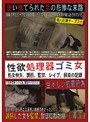 性欲処理器ゴミ女