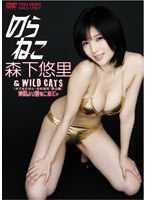 のらねこ 森下悠里 ＆ WILD CAT’S 沖縄より愛をこめて