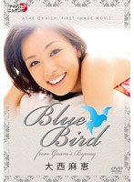 BLUE BIRD 〜from GUAM’S BYWAY〜/大西麻恵 のパッケージ