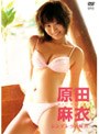 シンデレラの秘密/原田麻衣