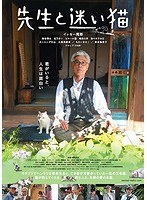 先生と迷い猫 先生と迷い猫