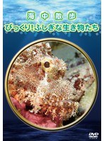 海中散歩〜びっくり！ふしぎな生き物たち〜