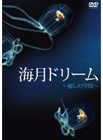海月ドリーム