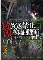 封印！！放送禁止検証動画FILE Vol.17 【豪華2枚組】 全ての悪夢がここにある… のパッケージ